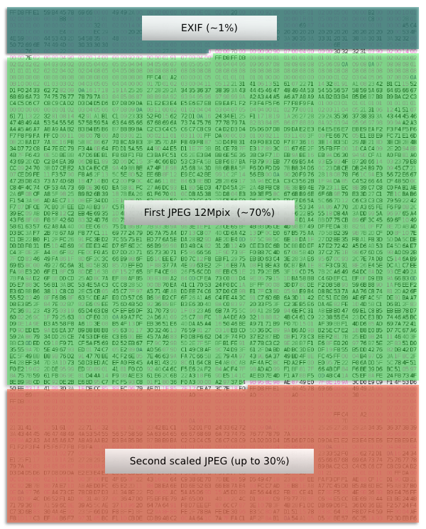 Binary content of a JPEG file